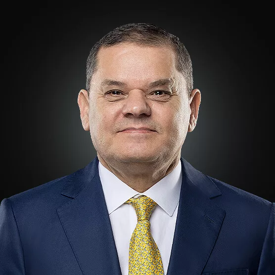 H.E Abdulhamid Dbeibah