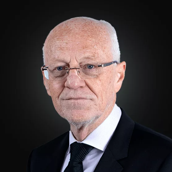 Professor Peter James Goadsby