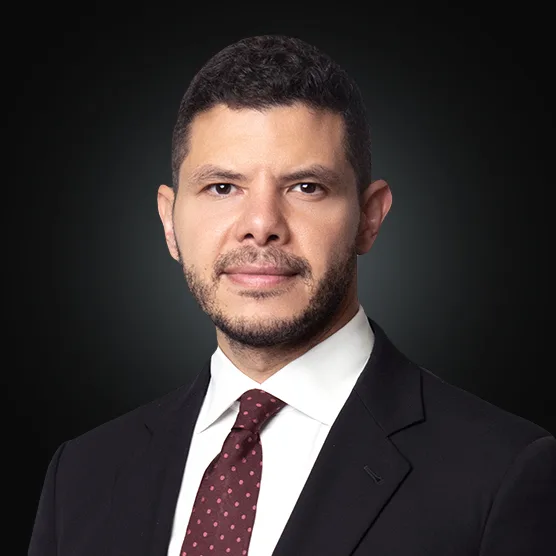 Eng. Ahmed Mansour